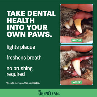 Close-up of cat's teeth and gums showing before and after dental treatment comparison.