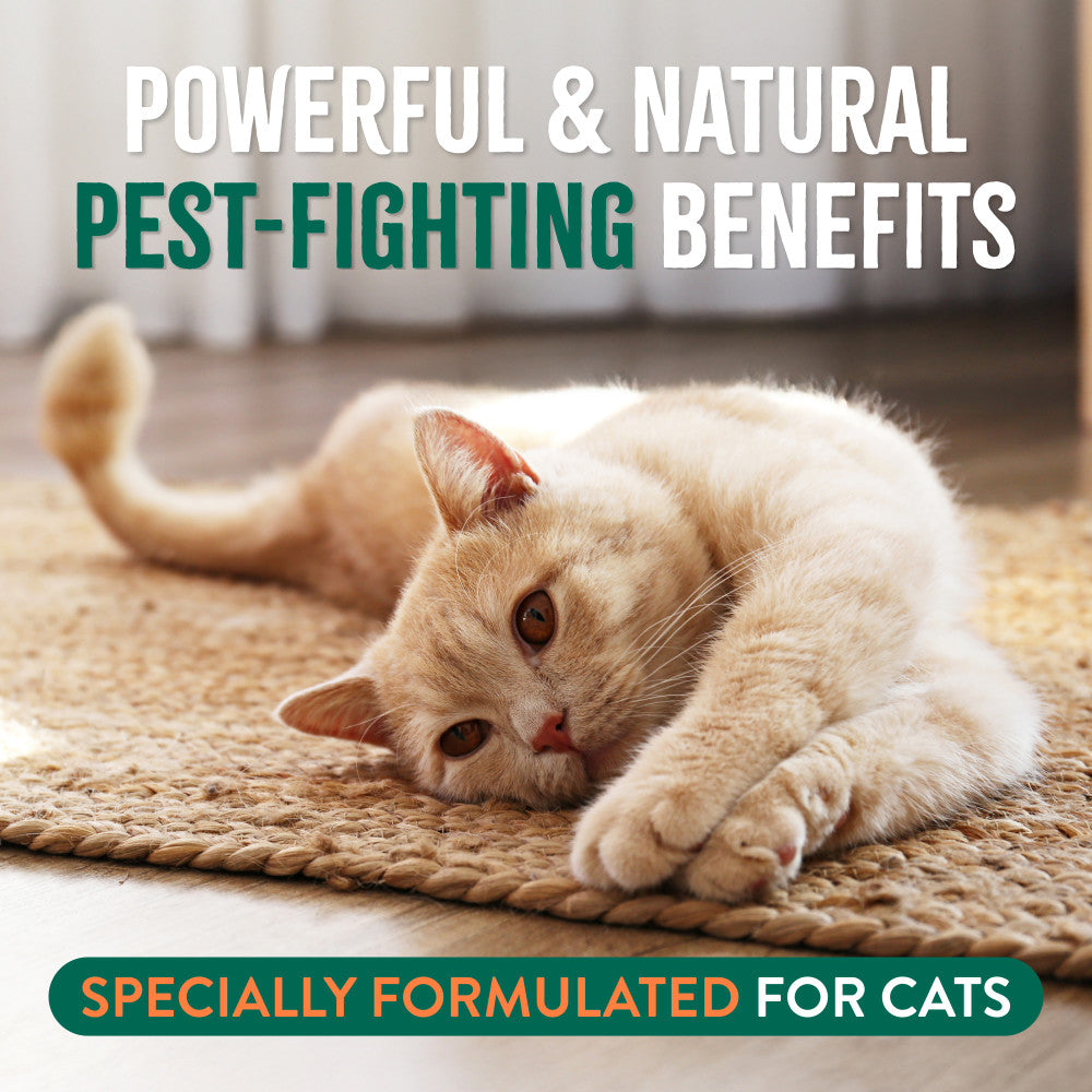 Cat lying on a rug with text about pest-fighting benefits for cats