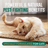 Cat lying on a rug with text about pest-fighting benefits for cats