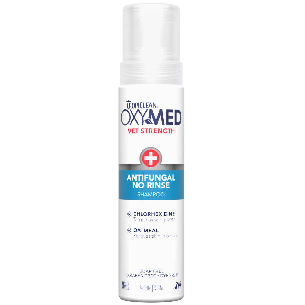 TropiClean OxyMed Antifungal No Rinse Shampoo, 7.4oz