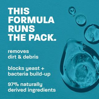 This formula runs the pack.
