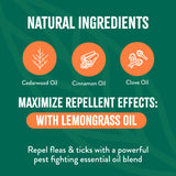 TropiClean Natural Flea + Tick Yard Spray. Promotional graphic for natural ingredients with icons and text on a green background