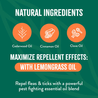 TropiClean Natural Flea + Tick Yard Spray. Promotional graphic for natural ingredients with icons and text on a green background