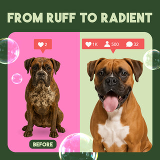 From ruff to radiant