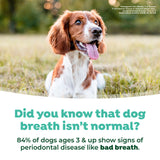TropiClean Fresh Breath Oral Care Spray for Pets. Dog on grass with text about dog breath and periodontal disease