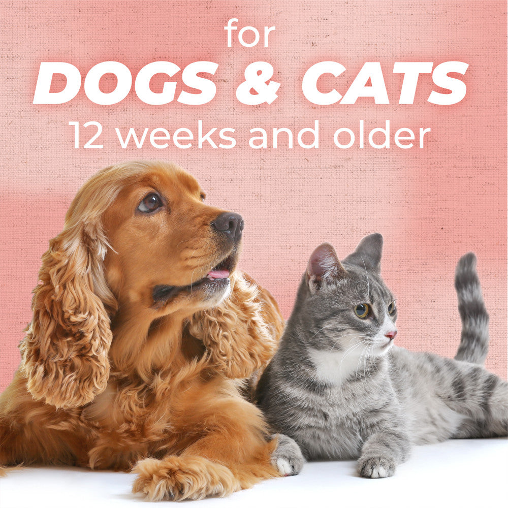 TropiClean PURE Hypoallergenic Plant-Based Wipes for Dogs & Cats. Dog and cat sitting together with text 'for DOGS & CATS 12 weeks and older' on a pink background