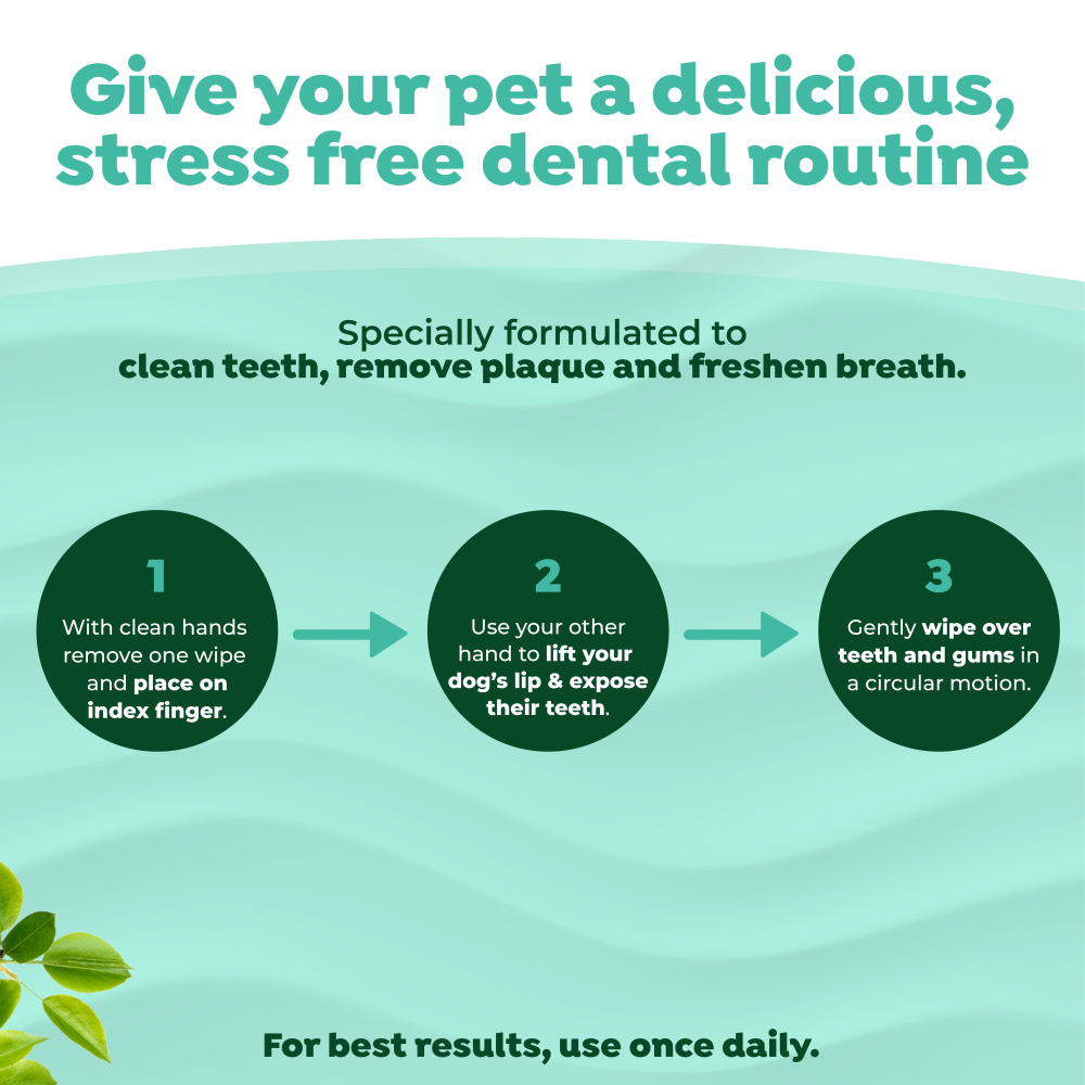 TropiClean Fresh Breath Finger Dental Wipes for Pets. Instructions for a pet dental care routine