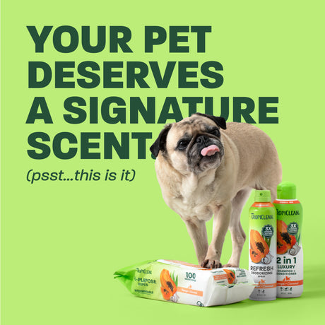 TropiClean Dog Grooming Kit, Papaya Pamper Pack