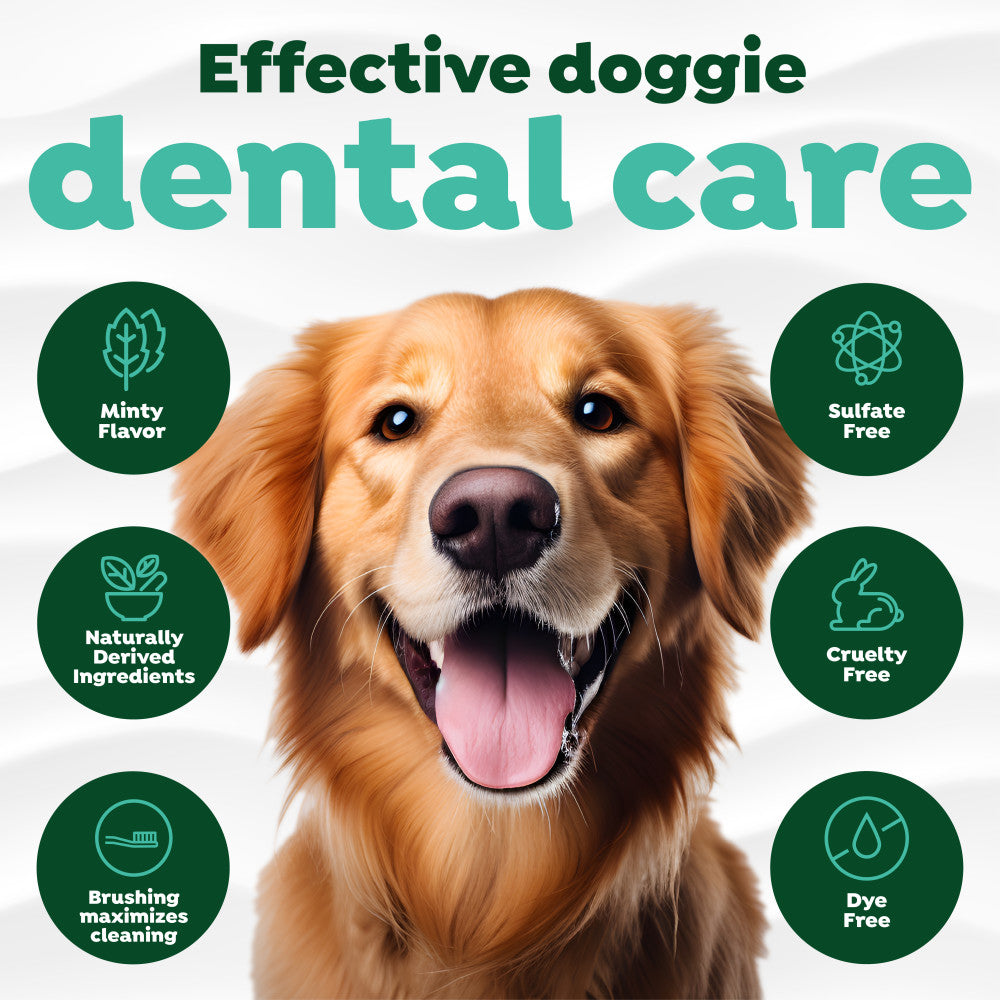Effective dental care with features in green circles.