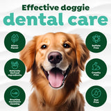 Effective dental care with features in green circles.
