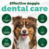Dog with TropiClean Fresh Breath Peanut Butter Oral Care Spray for Pets product features on a white background