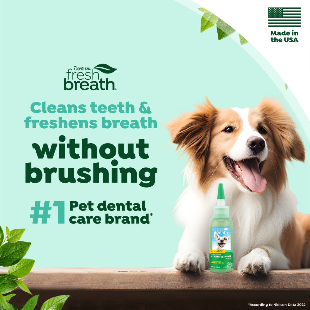 Dog with a bottle of TropiClean Fresh Breath No-Brushing Dental Gel for Dogs with text about pet dental care.