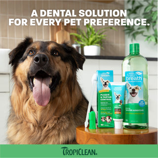 TropiClean Fresh Breath Instant Fresh Breath Pet Foam, 4.5oz