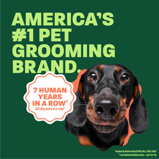 dachshund head popping out. Text, 