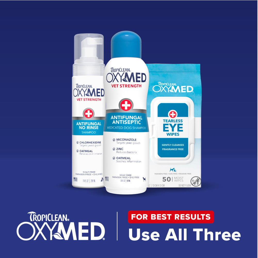 OxyMed Medicated Antifungal Dog Shampoo, Yeast Dermatitis