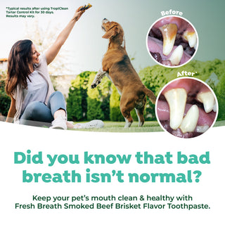 Fresh Breath Enticers Smoked Beef Brisket Oral Care Kit. Woman playing with a dog in a park, with images of dental care before and after using TropiClean products.