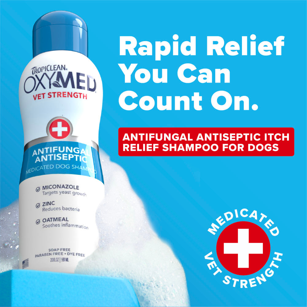 TropiClean OxyMed Antifungal & Antiseptic Shampoo, 20oz