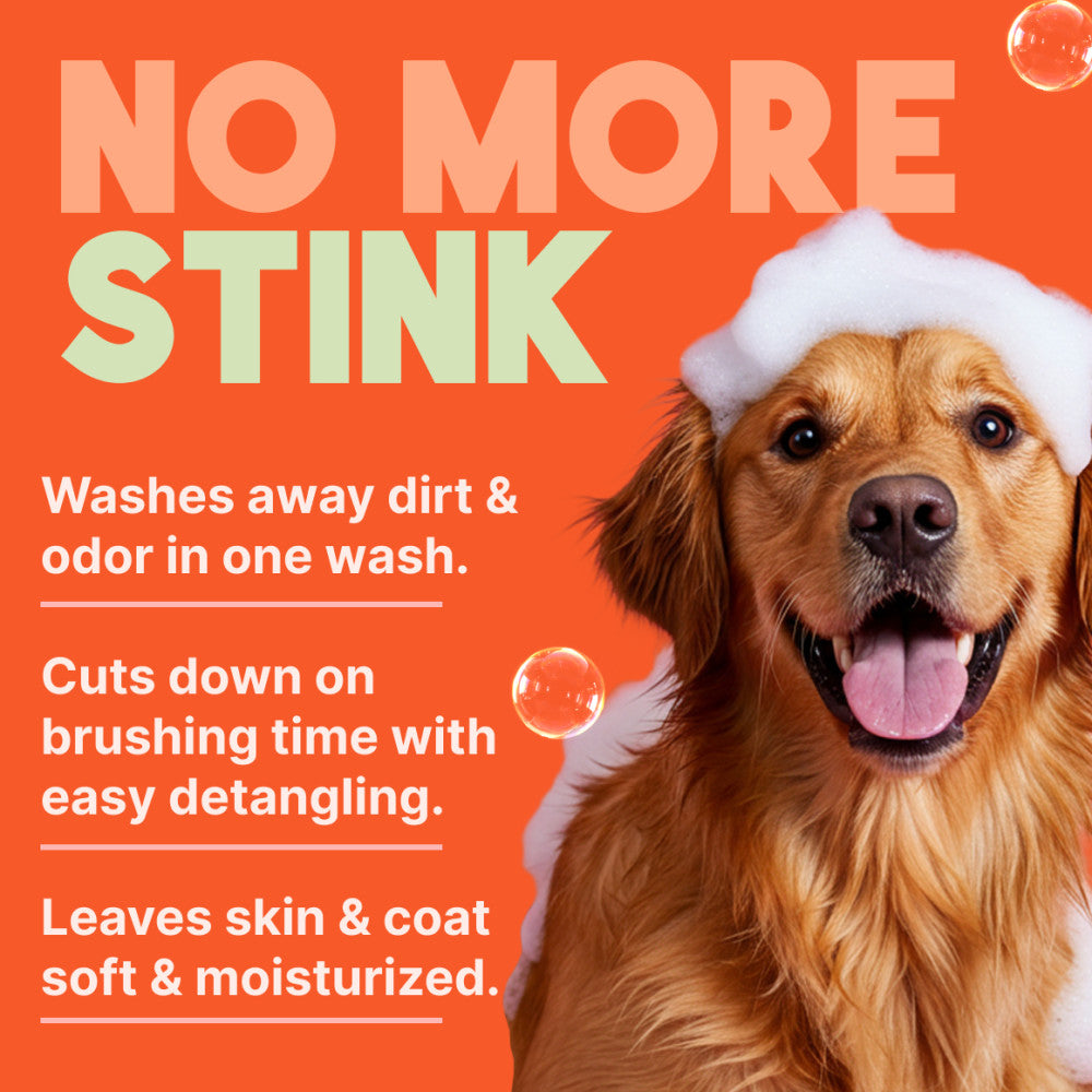 Dog with TropiClean Papaya & Coconut 2-In-1 Shampoo and Conditioner for Pets suds on head with features