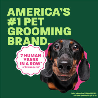 dachshund head popping out. Text, 