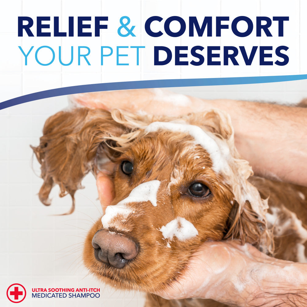 Dog being bathed withTropiClean OxyMed Medicated Anti Itch Treatment Rinse for Pets and text overlay about relief and comfort for pets