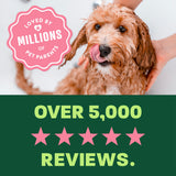light green and green background, "Loved by millions" 5 star reviews.