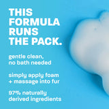This formula runs the pack.