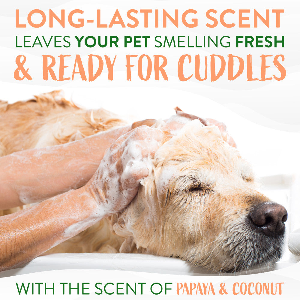 Dog being washed with TropiClean Papaya & Coconut 2-In-1 Shampoo and Conditioner for Pets suds, text about long-lasting papaya & coconut scent.