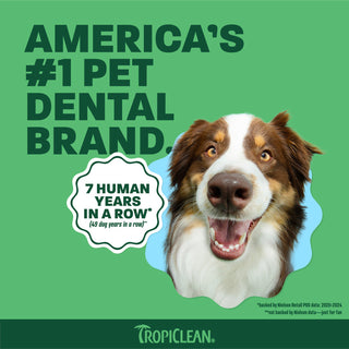 TropiClean Fresh Breath Instant Fresh Breath Pet Foam, 4.5oz