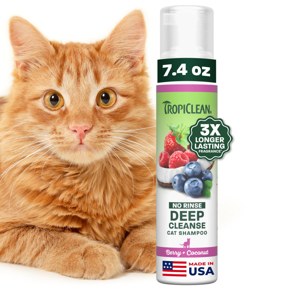 Berry & Coconut Deep Cleansing No-Rinse Shampoo for Cats | TropiClean