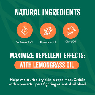 Natural Flea & Tick Max Shampoo & Spray