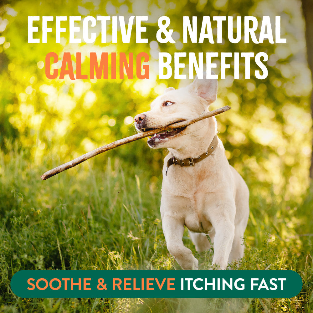 TropiClean Natural Flea + Tick Bite Relief Spray for Pets. Dog running with a stick in grass, text about calming benefits