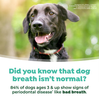 TropiClean Fresh Breath Max Strength Dental Water Additive for Dogs. Dog with text about dog breath and periodontal disease.
