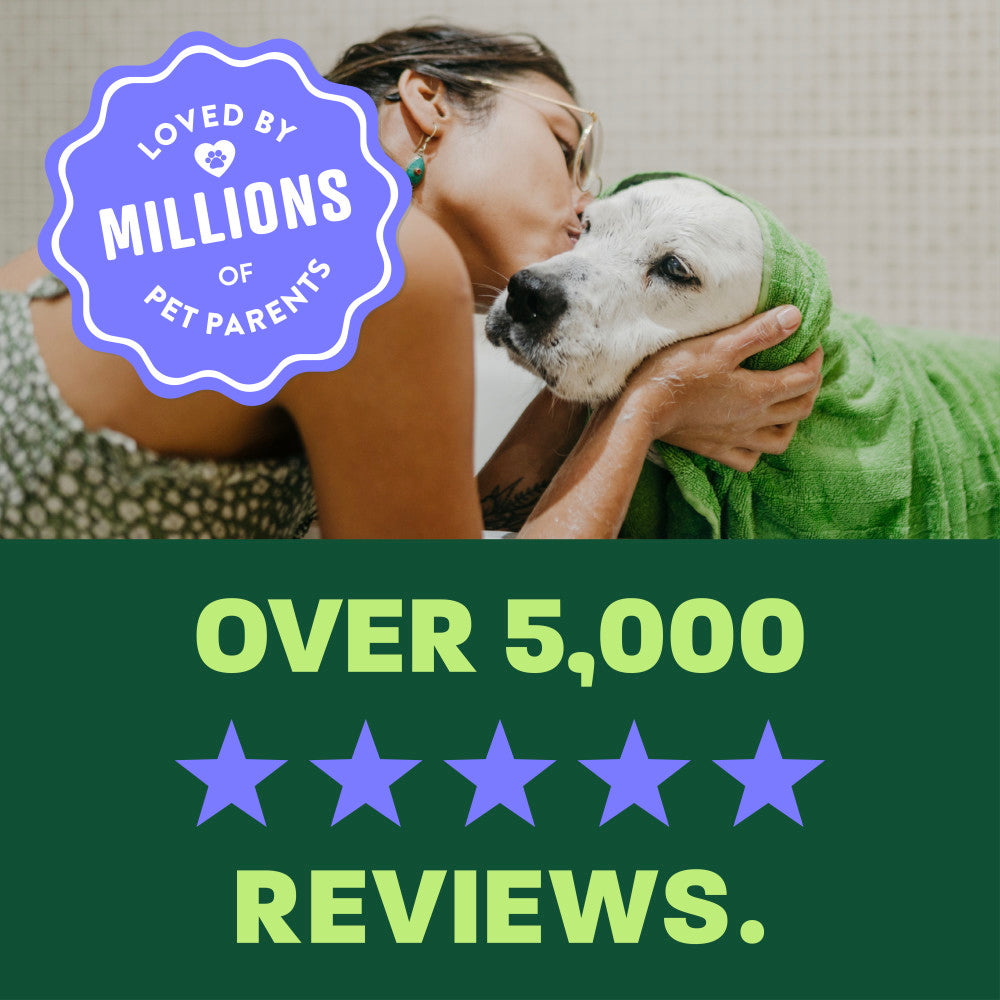 light green and green background, "Loved by millions" 5 star reviews.