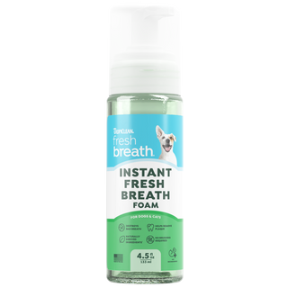 TropiClean Fresh Breath foam front