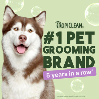 TropiClean Kiwi & Cocoa Butter Moisturizing Conditioner for Pets, 1 gal