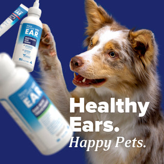TropiClean HomeVet Ear Mite Treatment for Pets. Dog with a bottle of ear wash with 'Healthy Ears. Happy Pets.' text on a blue background.