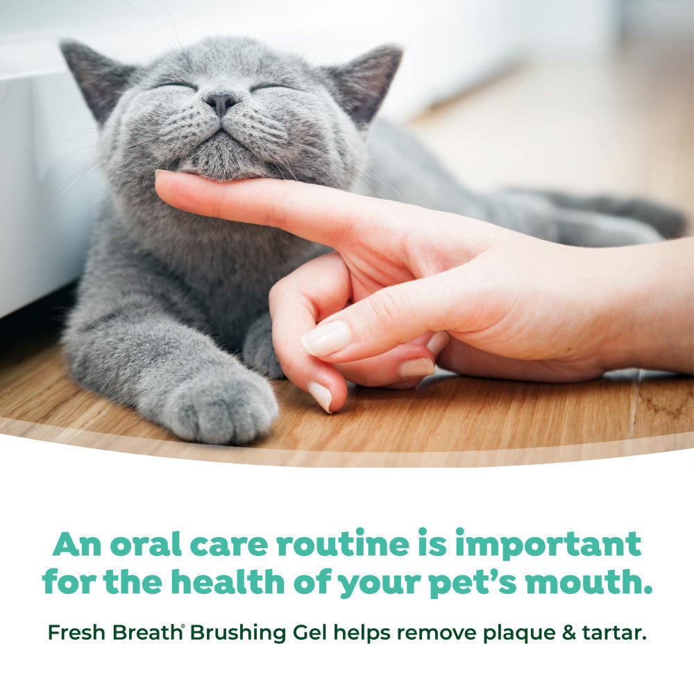 TropiClean Fresh Breath Plaque & Tartar Control Kit for Cats. Cat being petted by a hand with text about oral care for pets.