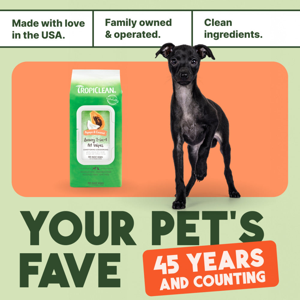 TropiClean Papaya & Coconut Luxury 2-In-1 Pet Wipes with a dog on an orange background