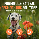Dalmatian dog in a field with text about powerful and natural pest-fighting solutions.