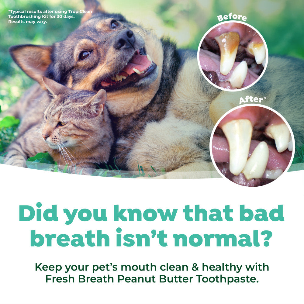 Dog and cat lying together with dental health before and after images, promoting TropiClean Fresh Breath Peanut Butter Oral Care Kit for Dogs & Cats