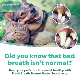 Dog and cat lying together with dental health before and after images, promoting TropiClean Fresh Breath Peanut Butter Oral Care Kit for Dogs & Cats
