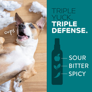 TropiClean Chew Stop Behavior Aid Dog & Home Spray. Dog with a spray bottle labeled 'Triple Yuck. Triple Defense.' on a wooden floor.
