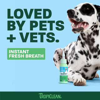 TropiClean Fresh Breath dental gel bottle with white and green label next to a black and white spotted dog on blue background