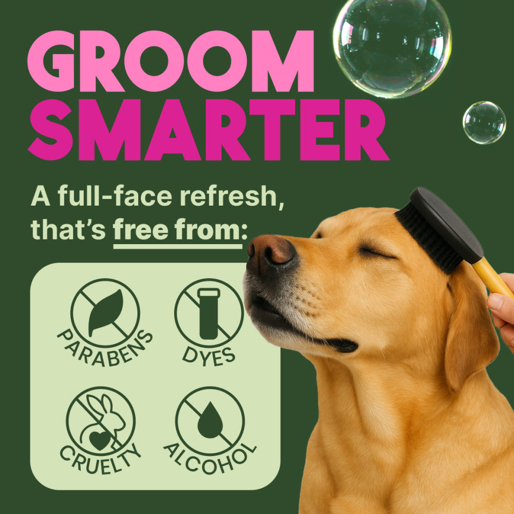Dog being groomed with a brush, featuring 'Groom Smarter' text and ingredient-free icons on a green background.