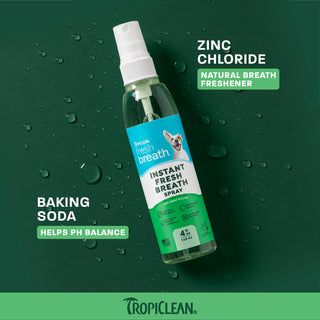 TropiClean Fresh Breath Instant Fresh Breath Pet Spray, 4oz
