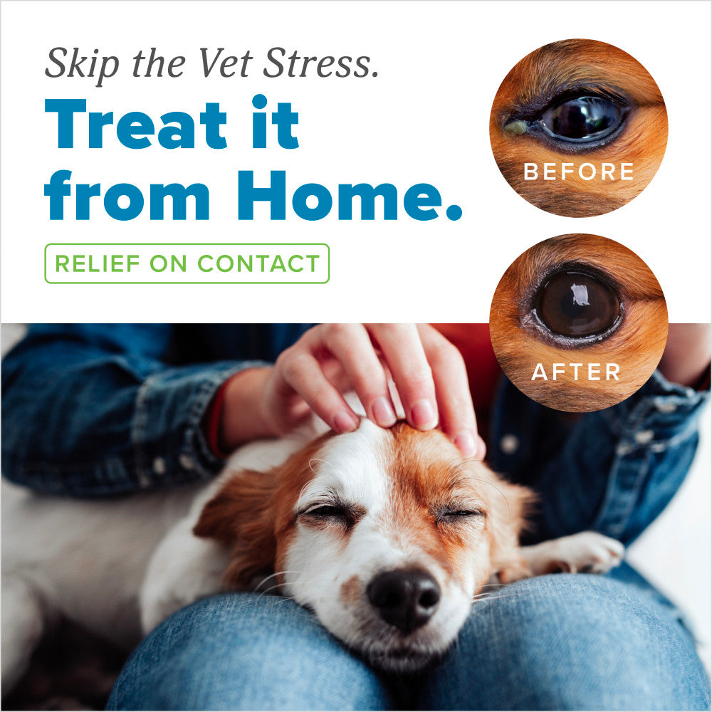 TropiClean HomeVet Soothing Eye Wash for Dogs & Cats, treat eye issues at home with a before and after comparison of a dog's eyes.