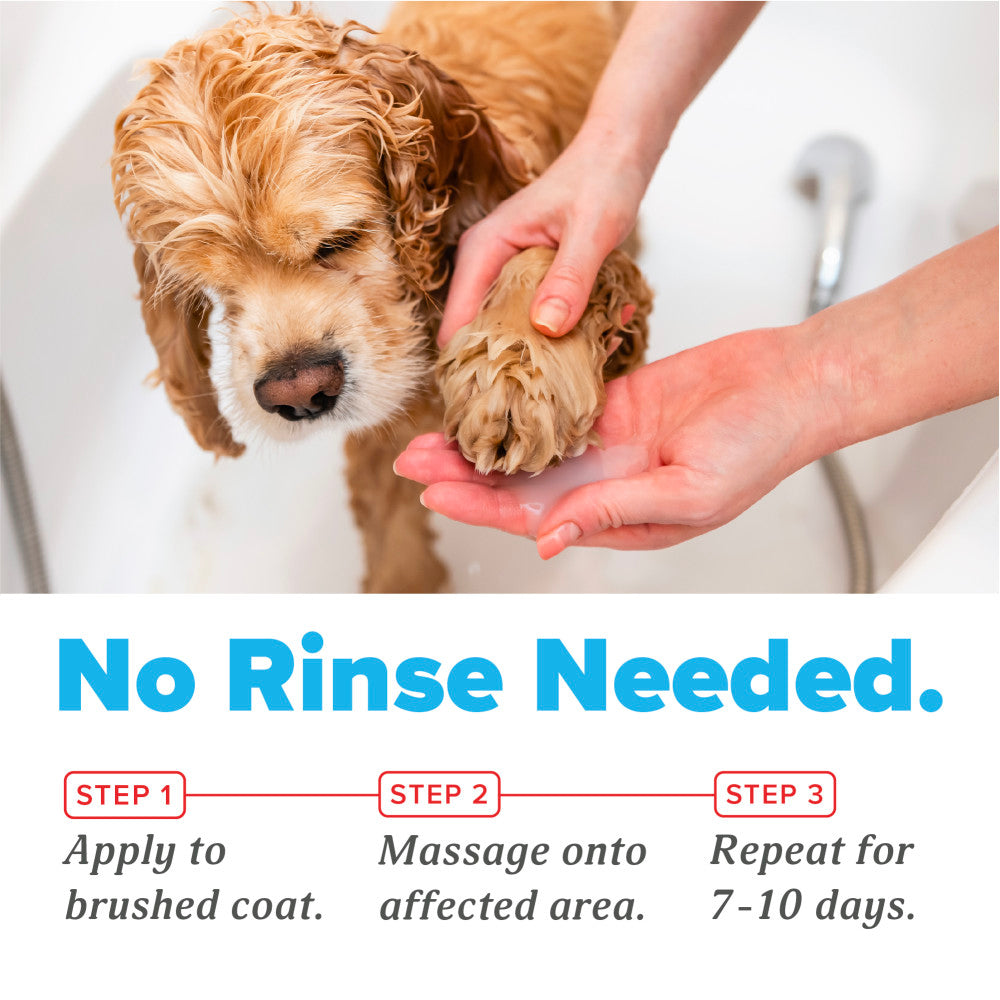 TropiClean OxyMed Antifungal No Rinse Shampoo, 7.4oz