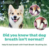 Before and after images of dog teeth.