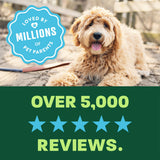 light green and green background, "Loved by millions" 5 star reviews.
