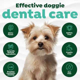 Effective doggie dental care.